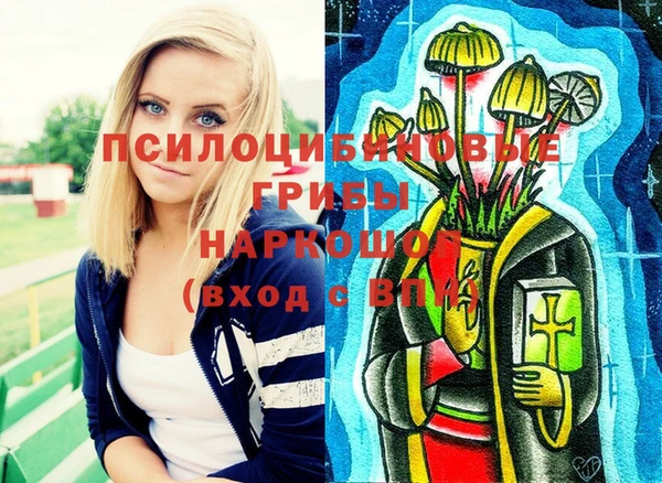 а пвп мука Бородино